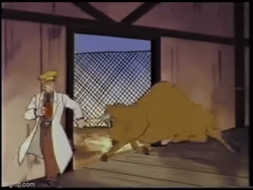 d69bf0ce21eea6025dace036df844d153831422e.gifv