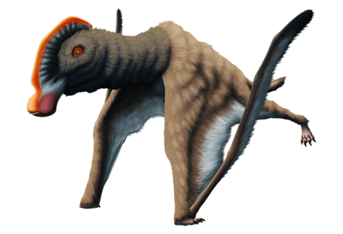 alphynix:Cycnorhamphus suevicus, a pterosaur from the Late Jurassic of Germany and France (~150-145 
