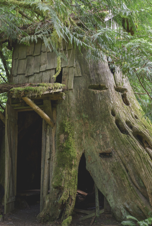 Stump House, Seabeck