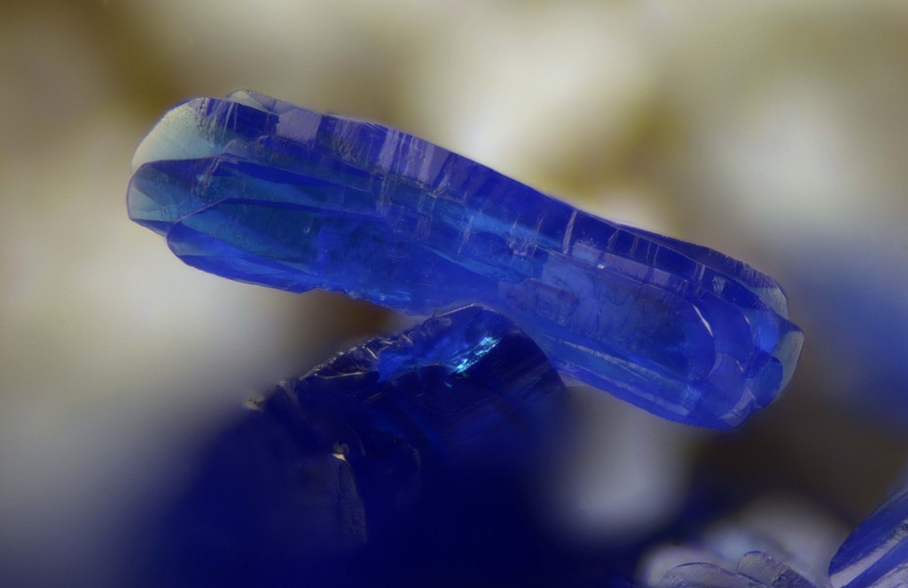 underthescopeminerals:  Azurite, Allophane Locality:Valcroze, Alzon, Gard, Languedoc-Roussillon,