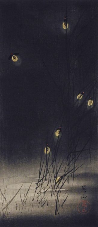 thewoodbetween - Fireflies, 1926 - Ito Sozan (1884 - 19..)