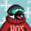 pinguinus