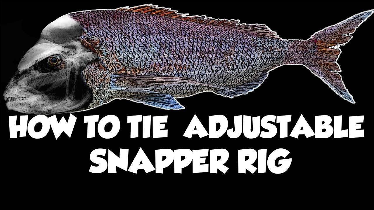 Snapper Flasher Fishing Rigs Circle Hook 6/0 Gummy Shark Snatcher