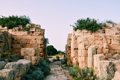 smallyabroad:Some views from Selinunte in Sicily. Couldn’t resist adding some of my own Selinu