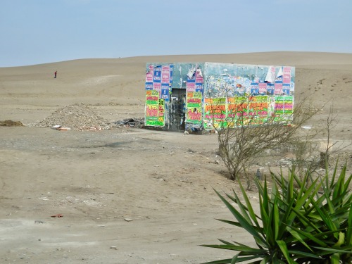 Escena en el desierto costero peruano, Lima, 2017.