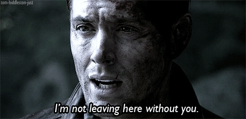 crossroadscastiel:  let me explain you a thing tumblr i ship these two assholes so
