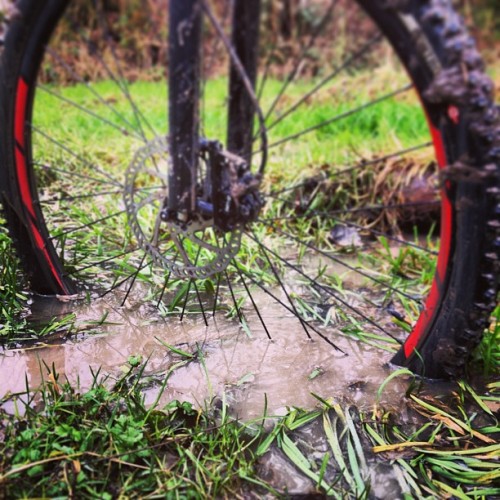 timnorris: Surprisingly there were some dry patches o the ride today. Introduced to some half decent
