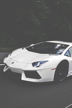 luxury-addictions:  follow for more luxury at luxury-addictions