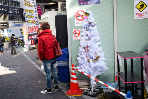 Merry Christmas (trees).[Japan]