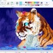 shapelytimber:shapelytimber:May I offer you a frog sketched in paint in this trying time ?I drew a tiger this time :)