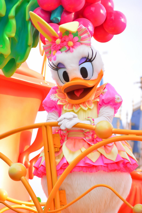 2015/05/31Tokyo Disney LandToon town andHippity Hoppity Spring Time andIts a Small World