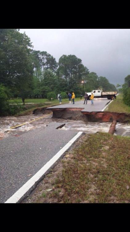 fuckingflorida:kawaiicakewhore:I feel like this storm did more damage to this area than any tropical