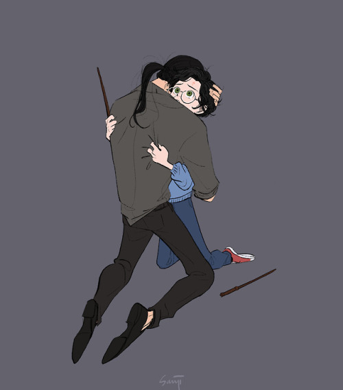 Sirius and Harry