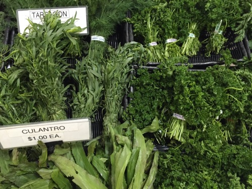 gardence:  the market had fresh herbs today
