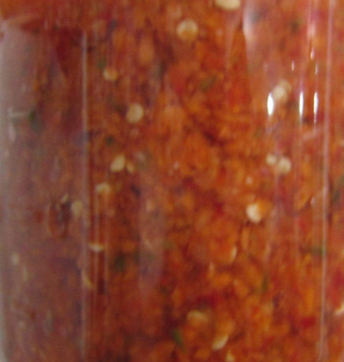 Fermentation Experiment - Habanero and Carrot hot sauce for VV LOOOOVES his hot sauce. His favorites