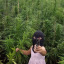 dumbflow3r