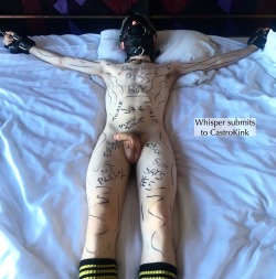 Puppixel:  Pupnobley:  Castrokinky:  I Might Have Gotten Carried Away With The Sharpie.