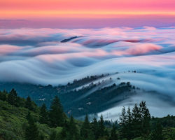 archatlas:  Nick Steinberg’s Fog WavesIn the words of the artist ​ Nick Steinberg:For the last 8 years I’ve been shooting in the San Francisco area I have been absolutely obsessed with the fog. Night and day it’s what I live for and what defines