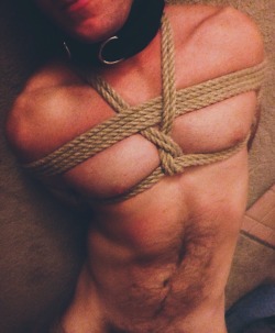 pupblaise:  Who says pups can’t be good at ropework? 