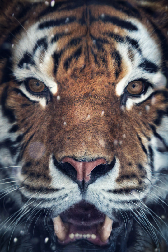 lightexpo:  by (Harry Schindler) 