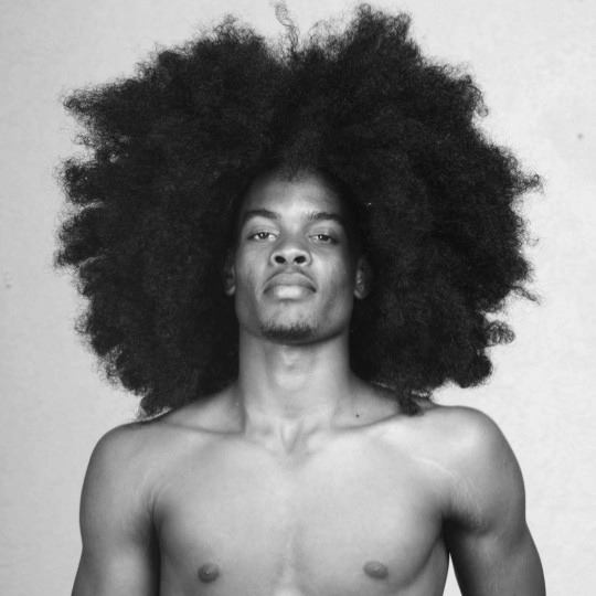 abeautifulindiscretion:  Hairstory