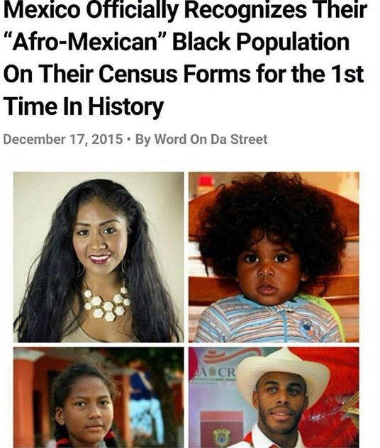 vegan-meth:
“ They recorded 1.3 million people of African descent which is about 1.2% of the population. Proud to see my people getting recognized. Que viva la gente AfroMexicanx!
”