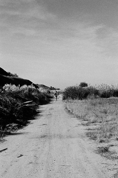 nevver:  We meet our destiny on the roadwe take to avoid it. 