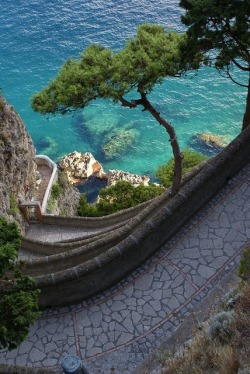 Bluepueblo:  Path To The Sea, Isle Of Capri, Italy Photo Via Danielle 