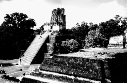 Pirámide y plaza, Tikal, Petén, Guatemala, 2001.