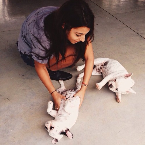 tumblr photo a-little-p1ece-of-heaven 0
