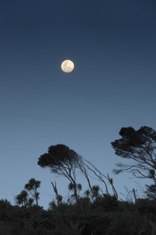 A couple of nice full moon photos from October 7th.