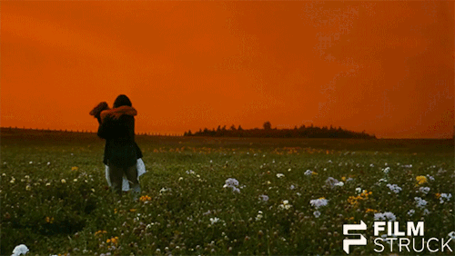 filmstruck:Remembering THE CROW (’94) by Susan DollAs super hero films clean up at the multiplexes, 