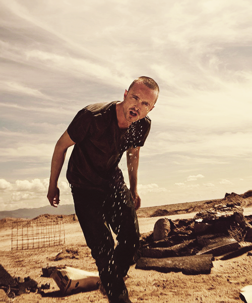 scarjoing:
“ Aaron Paul photographed by Sheryl Nields for Bullett Magazine
”
Love this guy.