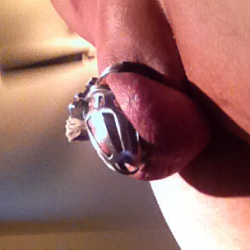 chastitychronicles:  Full