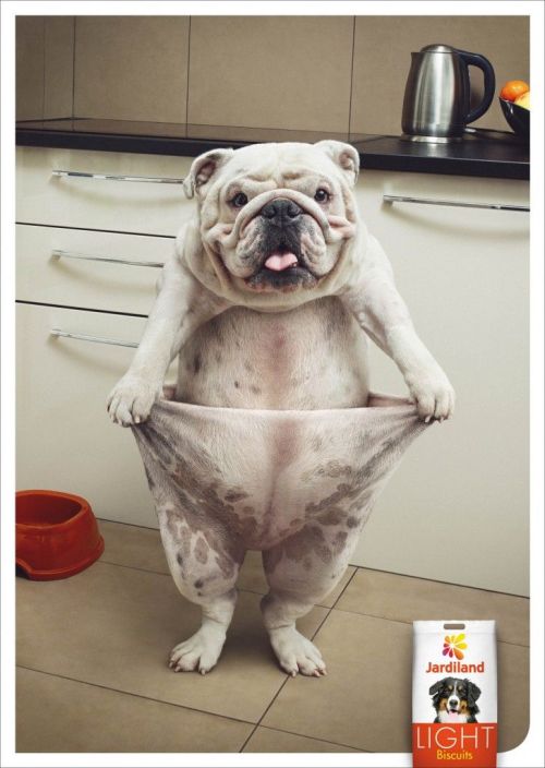 laughhard:  Advertisement for light dog food