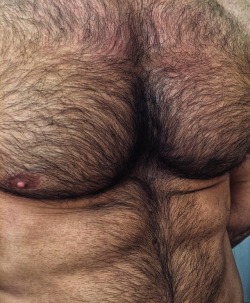 orangeskyprpl:  thehairyhunk:  Unknown | By @thehairyhunk  I could just start licking all of that and Shoot a Load all over him!!