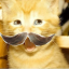 kittymeowpow