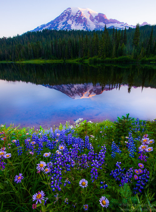 phantastrophe:Mount Rainier, Washington | Photographer: Nitin Kansal