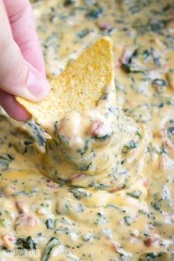 food-for-comfort:Crock Pot Spinach &amp; Bacon Queso Dip