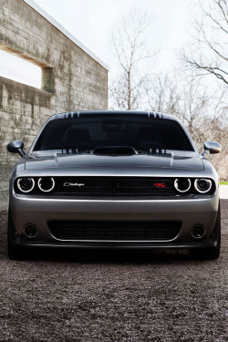 fullthrottleauto:  Dodge Challenger (by daveleck) (#FTA)