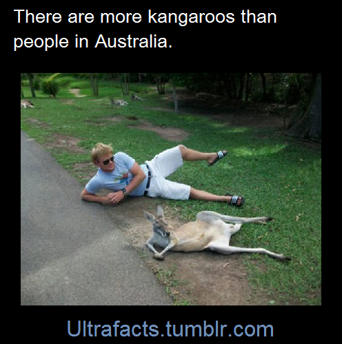 ultrafacts:  Sources: 1 2 3 4 5 6 7 8 9 For more facts on your dash, follow Ultrafacts
