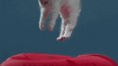 grungefaith:  Alt j - Every Other Freckle (x)