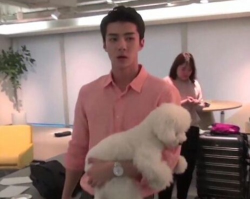 nnoleebugg: Sehun looking like the old women adult photos