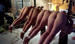 sensualhumiliation:  Nice auction of the new herd just taken (kidnapped)