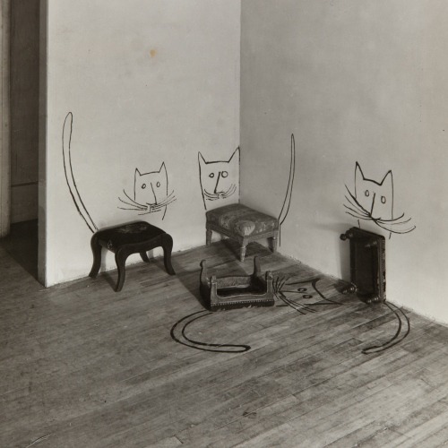 ein-bleistift-und-radiergummi:Saul Steinberg ‘Untitled (Four Cats)’, 1950.