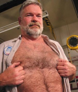 sfwoofbuddy:  Furry chest.
