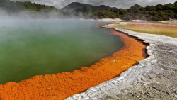 oecologia:  Champagne Pool • Waiotapu, New Zealand Champagne Pool is located within the Waiotapu geothermal area of New Zealand. It is a hot spring that formed over 900 years ago by a hydrothermal eruption. Water in the hot spring is generally around