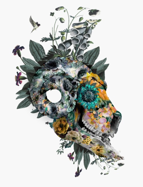 artsnskills: FLORAL SKULL ILLUSTRATIONS BY RIZA PEKER  More by the Artist Here 