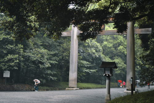 Yoyogi ParkTokyoJapan2013