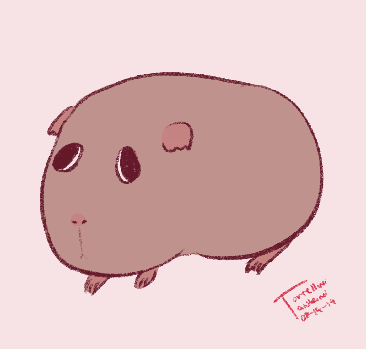 tortellini-tankini-art:  Aye so y’all know guinea pigsThey look like thisBut then
